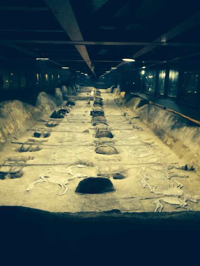 熊家冢遗址博物馆