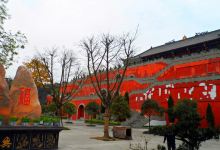 罗江婚纱_罗江贵妃枣图片(2)