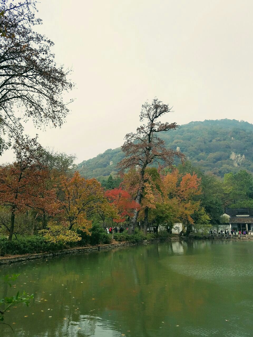 巴南天平山图片