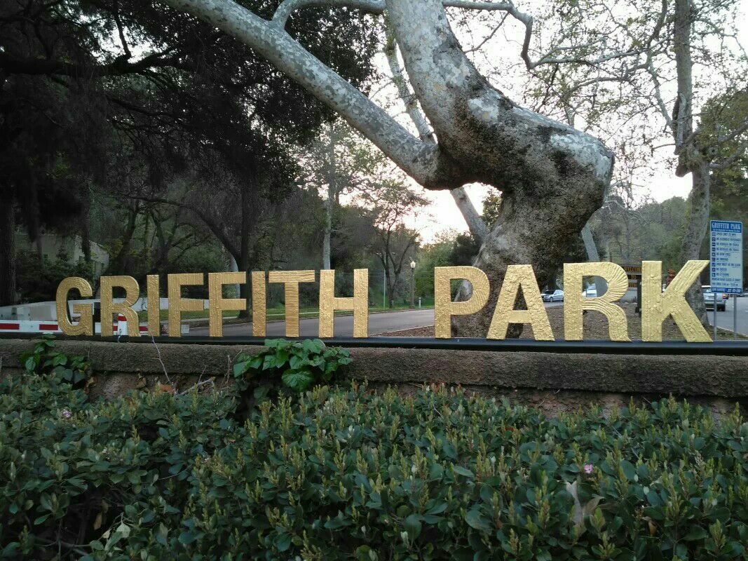 格里菲斯公园