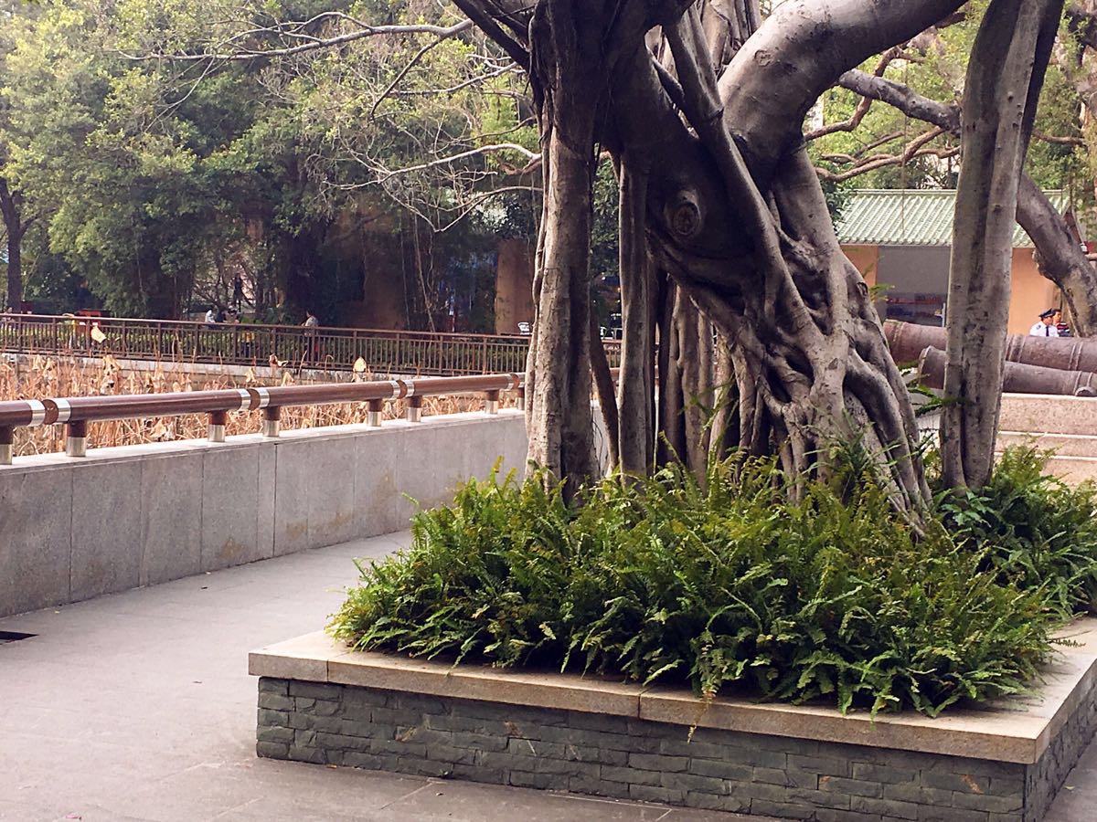 虎門鎮虎門公園好玩嗎,虎門鎮虎門公園景點怎麼樣_點評_評價【攜程