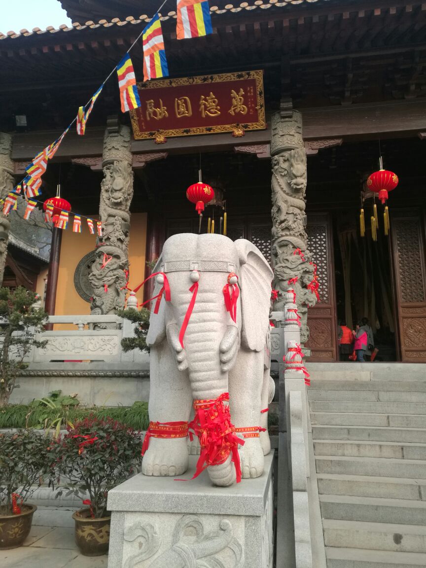 九华山平坦寺释广济图片