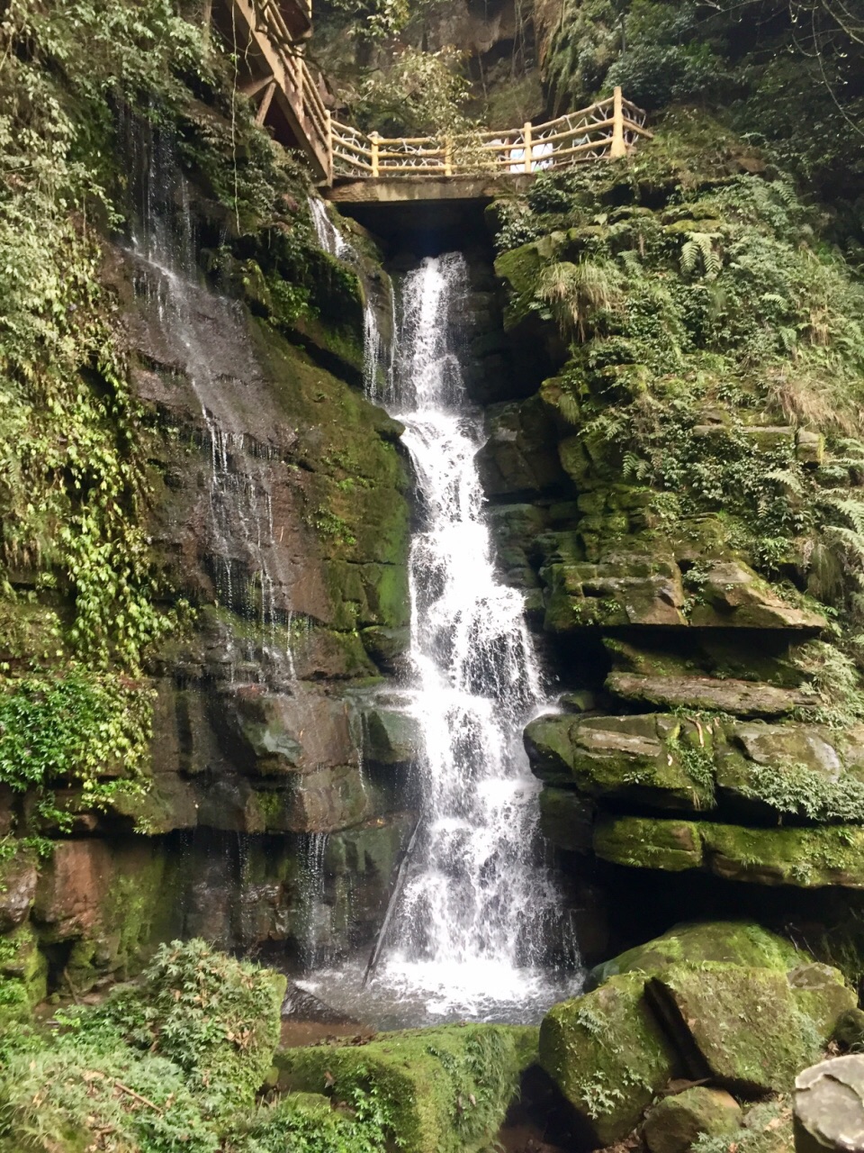 碧峰峽旅遊景點攻略圖