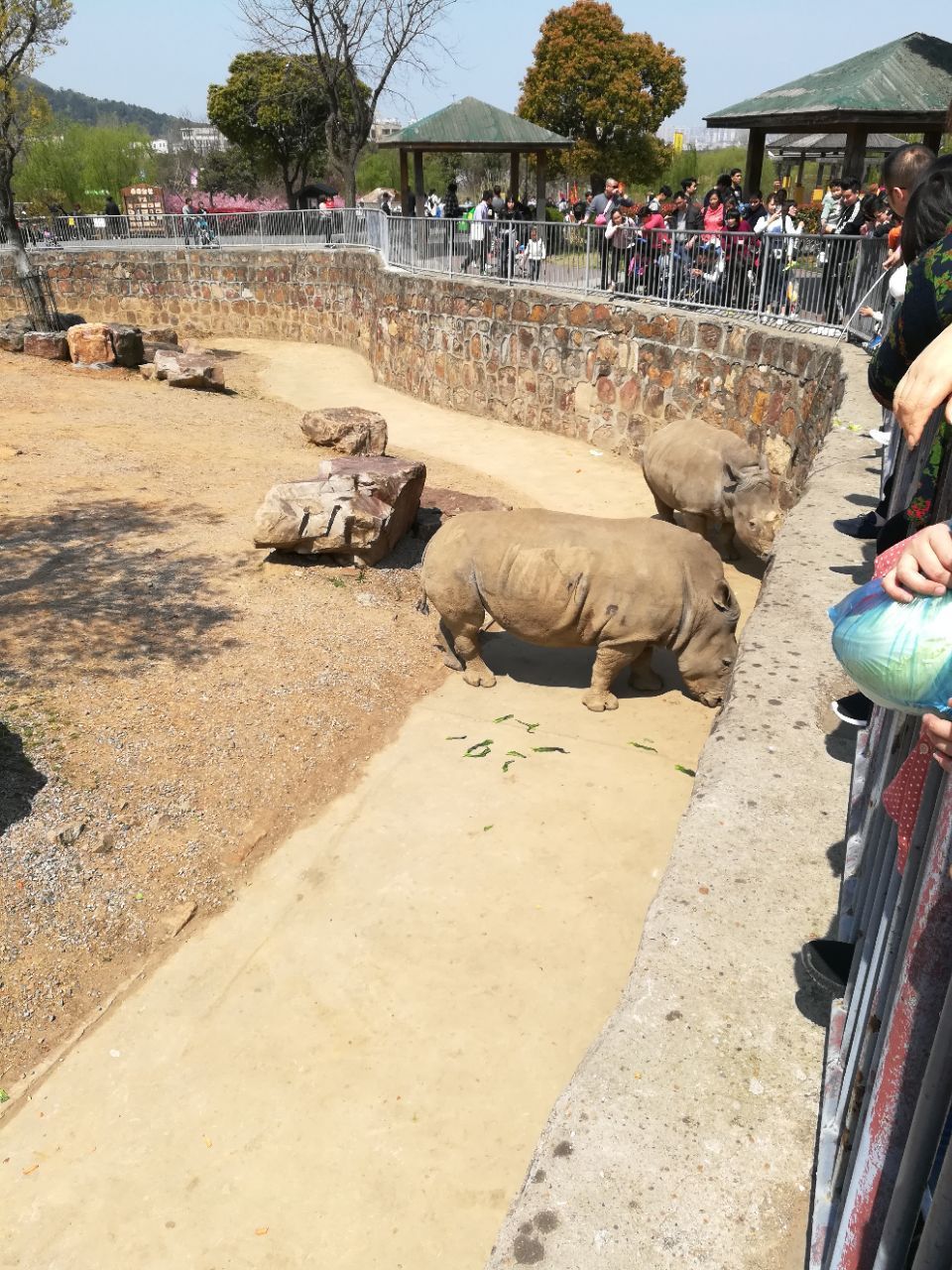 無錫動物園(太湖歡樂園)