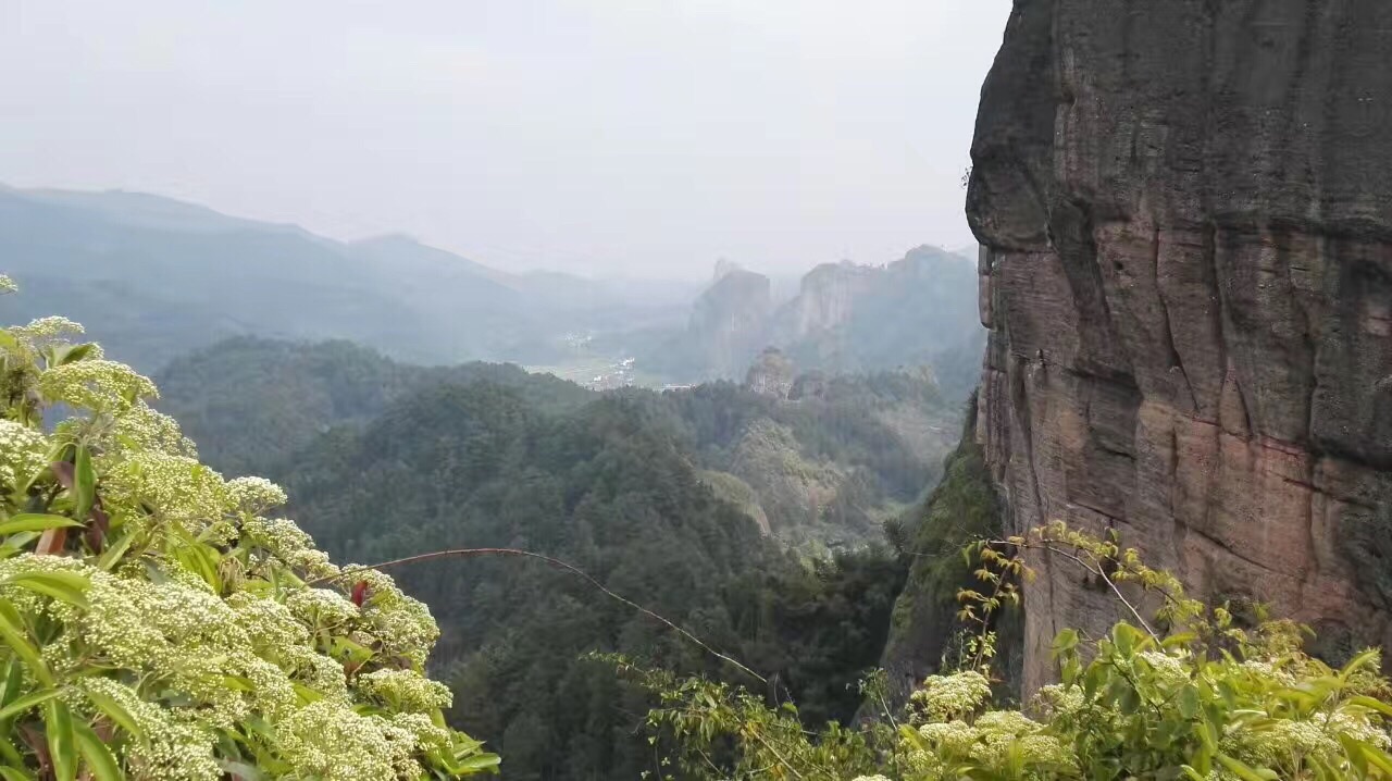 小金县骆驼峰图片