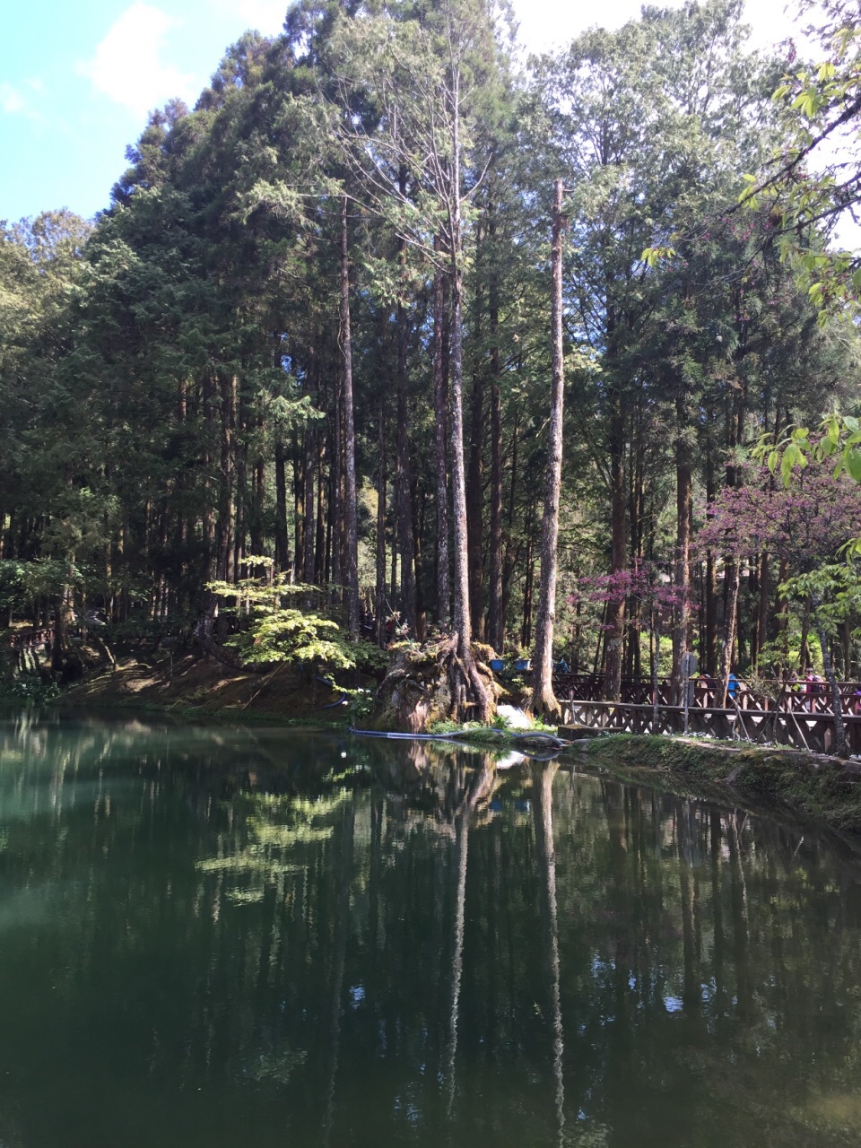 阿里山國家風景區