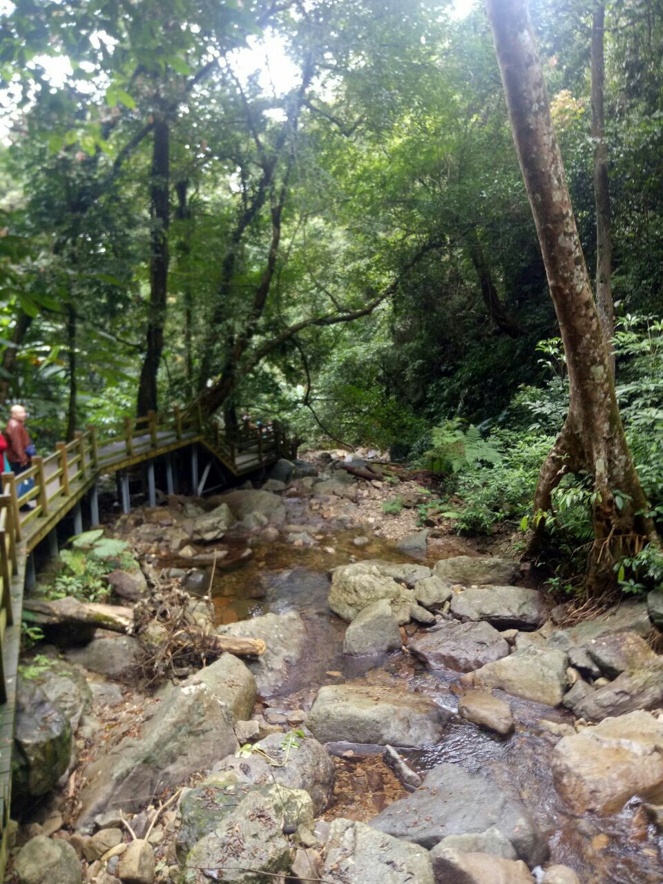 五指山熱帶雨林風景區