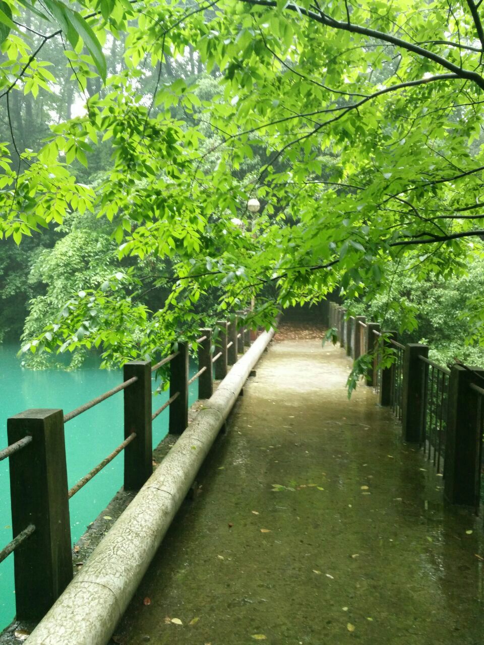 钟楼让我感觉到了一种回到民国时代的感觉,而那一潭蓝色的湖水让人