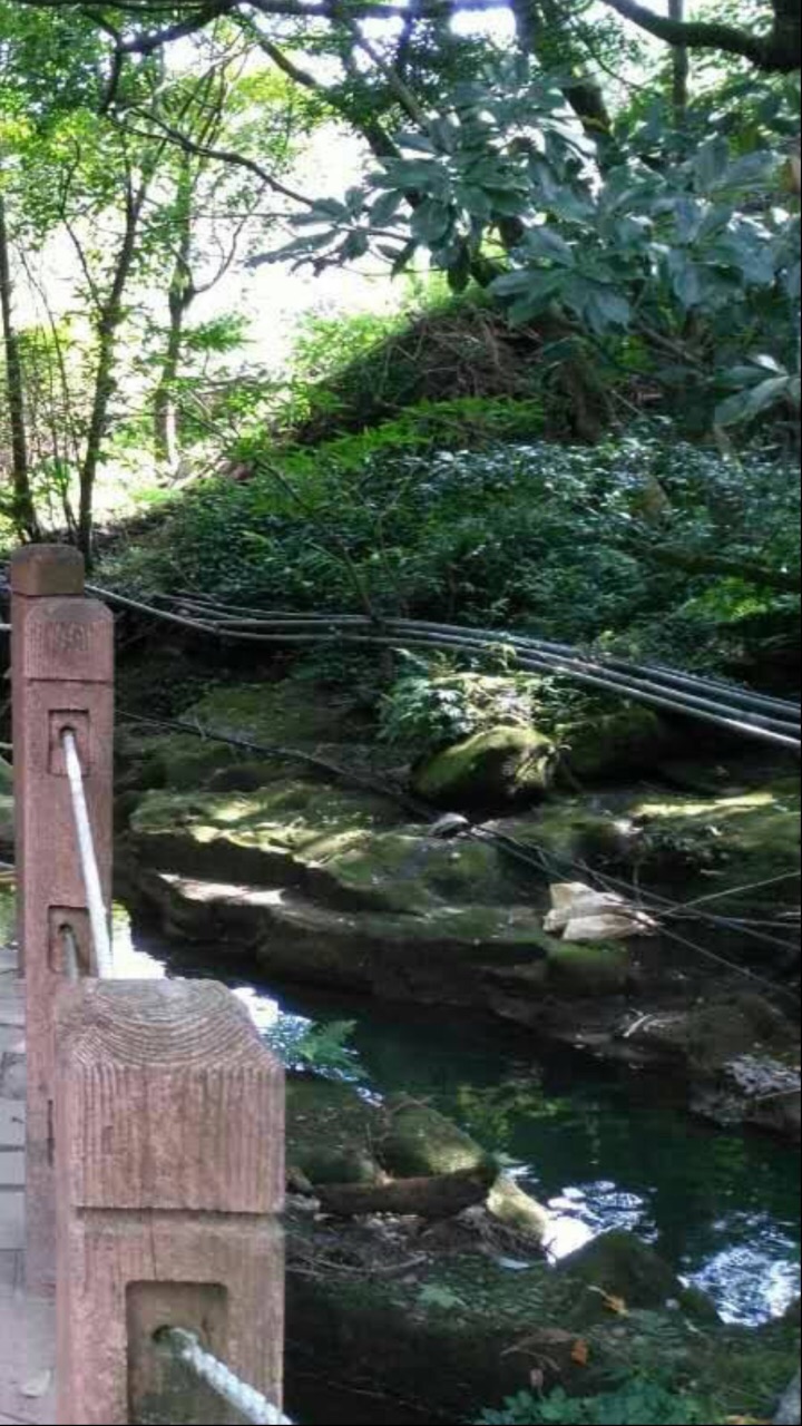 2019竹子湖_旅游攻略_门票_地址_游记点评,北投旅游景点推荐 - 去哪儿