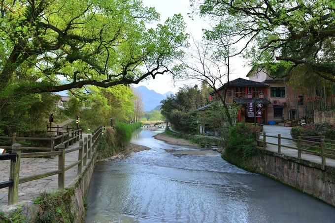 丽水大山峰森林公园游玩攻略简介丽水大山峰森林公园门票/地址/图片