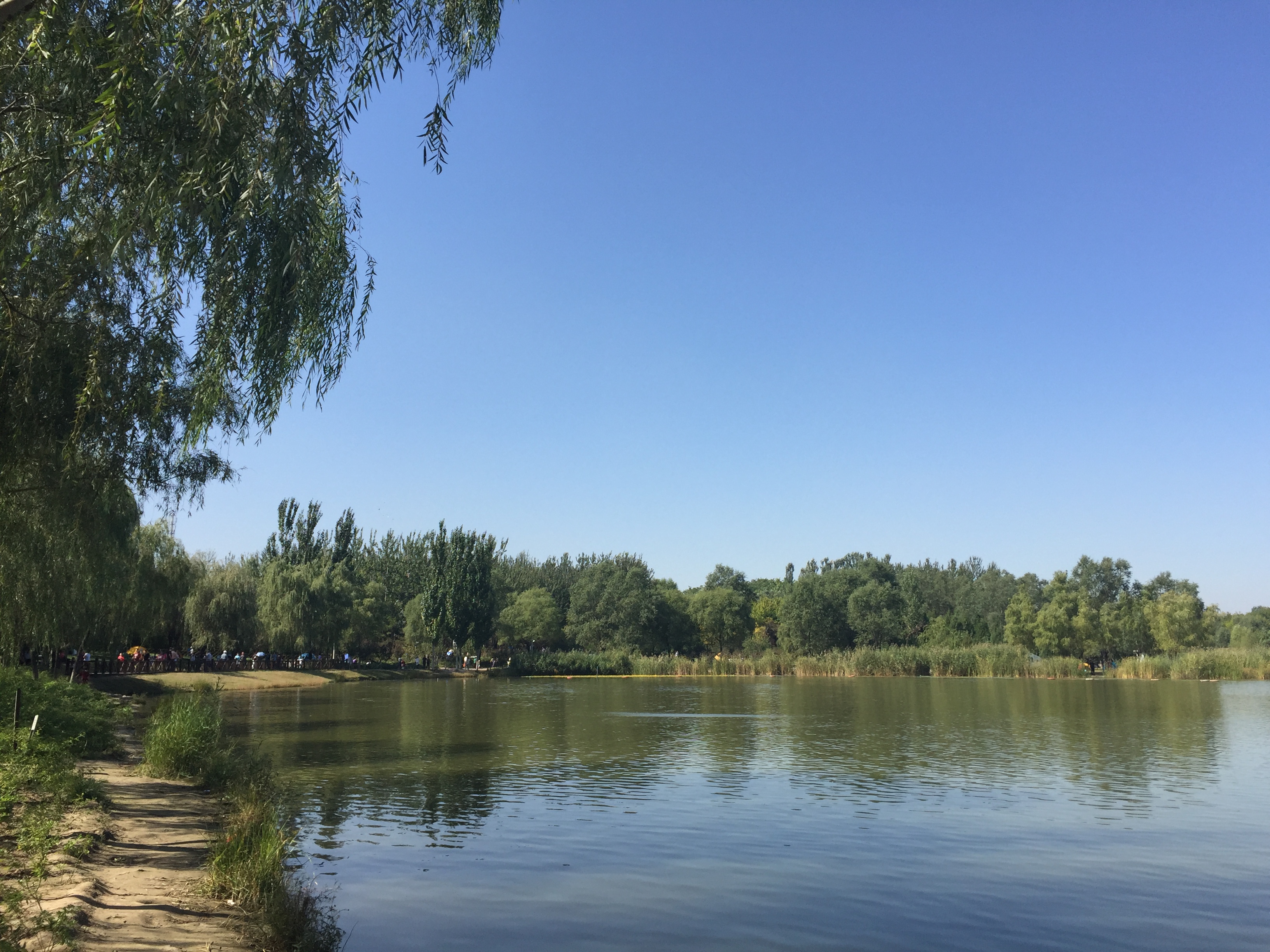 奧林匹克公園旅遊景點攻略圖