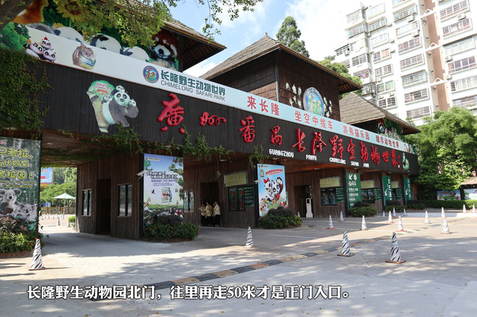 无锡宁的2017广州长隆暑期亲子七日结伴自由