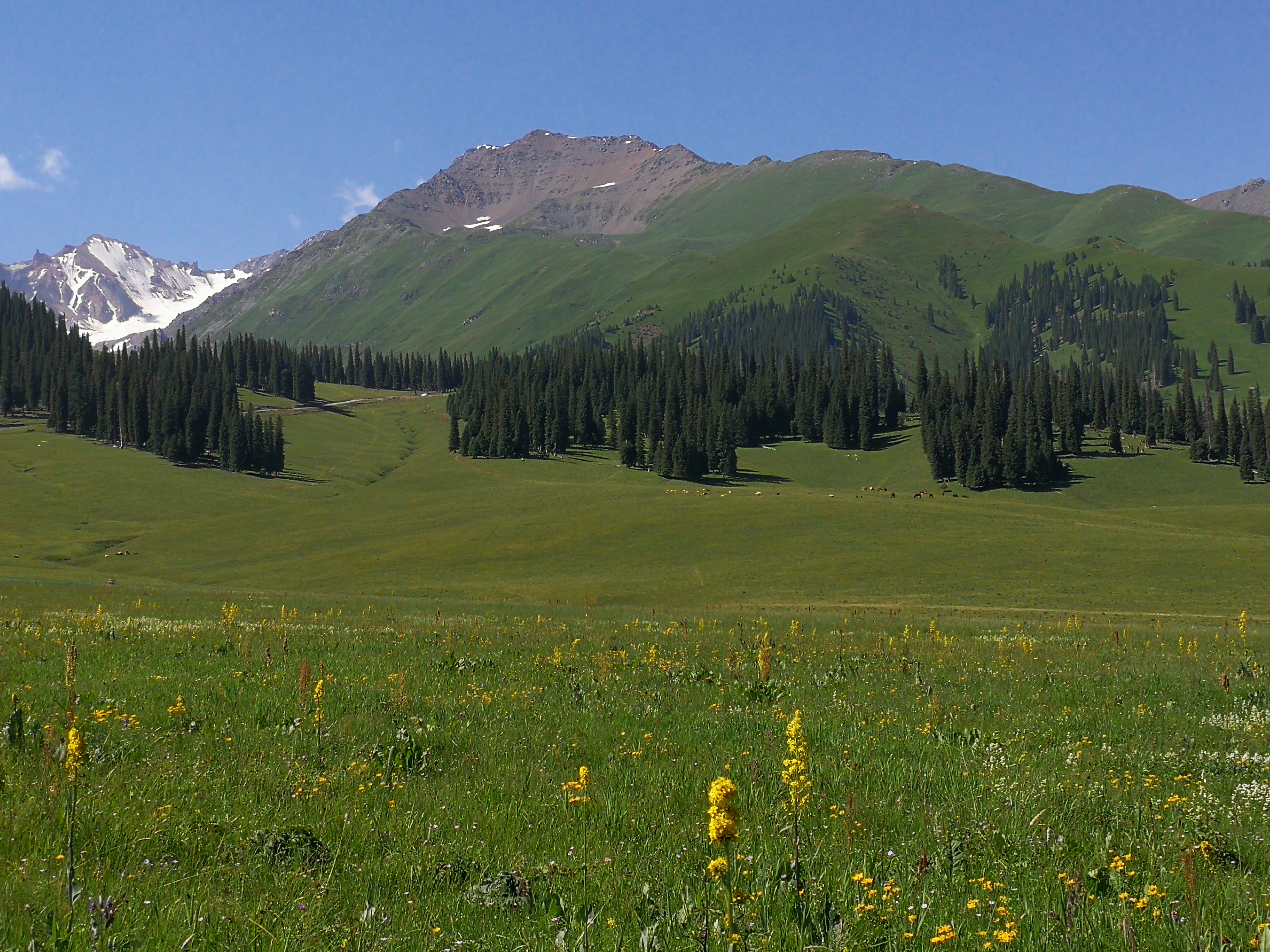 那拉提旅游风景区