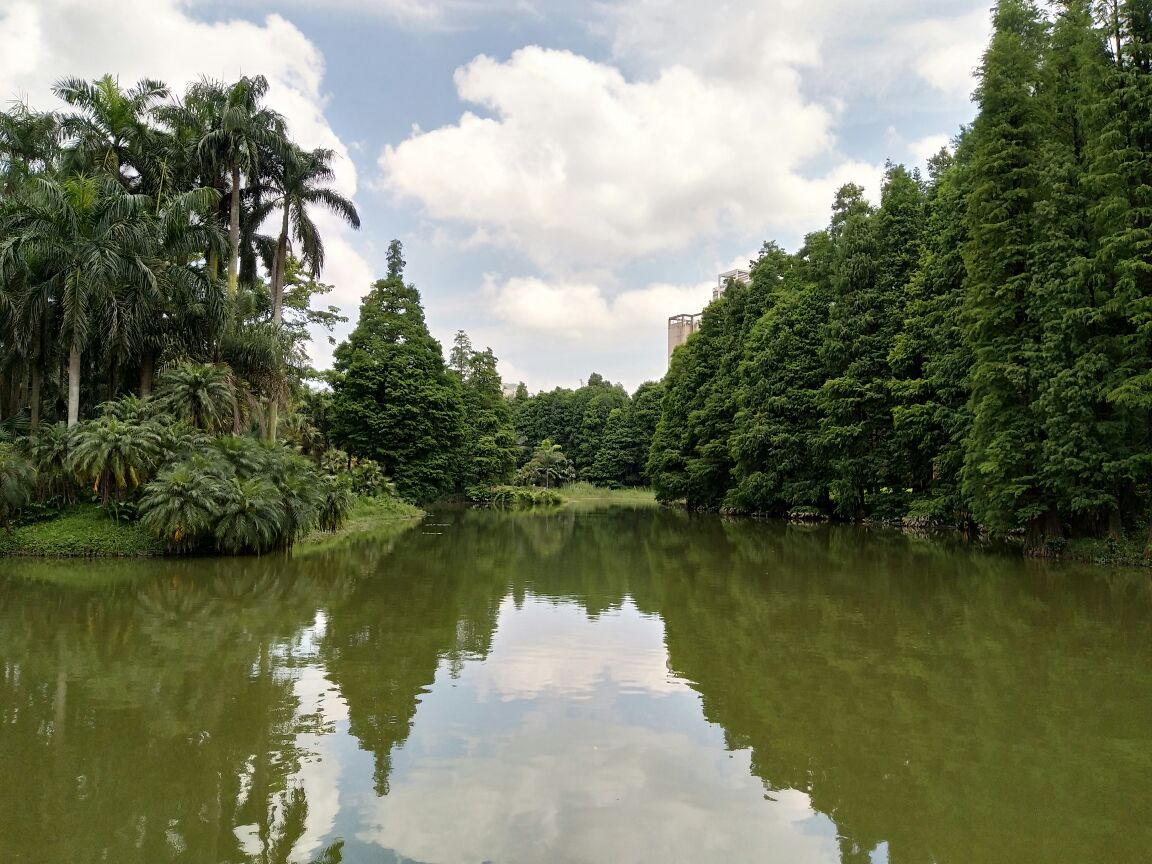 【攜程攻略】廣州中國科學院華南植物園景點,大熱天跑過去 也並不是很