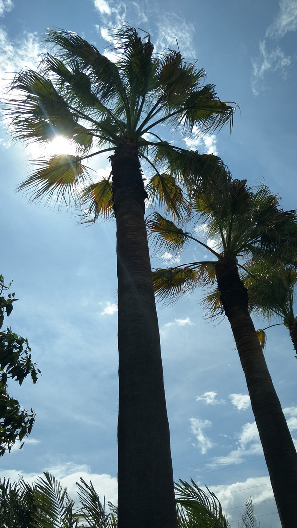 厦门--晴时有风阴有时雨