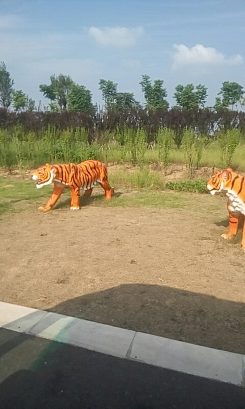 【攜程攻略】宿州宿州野生動物園景點,由於天氣太熱,很多動物沒看到