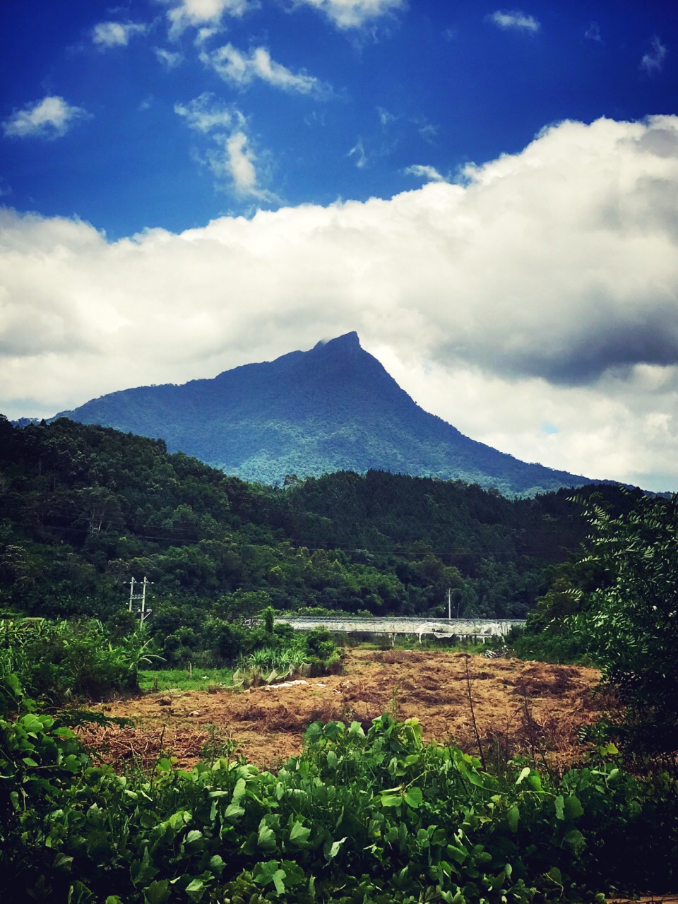 2019五指山热带雨林风景区_旅游攻略_门票_地址_游记点评,五指山旅游