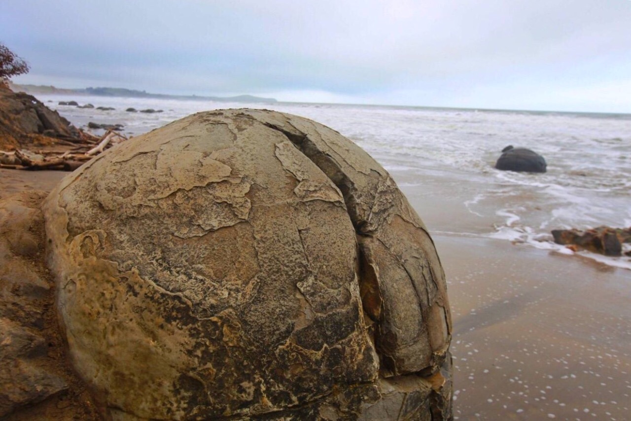达尼丁摩拉基大圆石好玩吗,达尼丁摩拉基大圆石景点