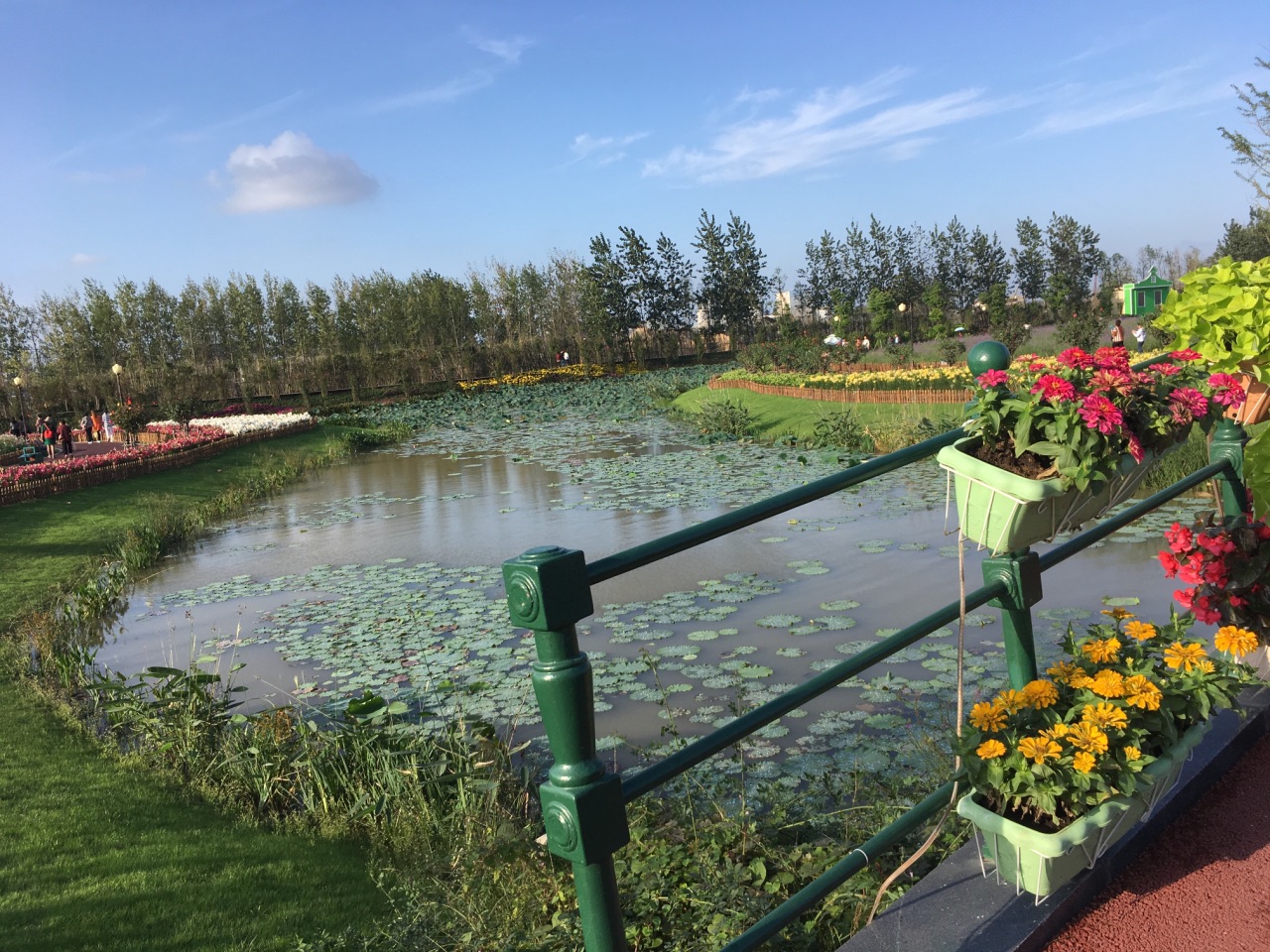 鹽城荷蘭花海好玩嗎,鹽城荷蘭花海景點怎麼樣_點評_評價【攜程攻略】