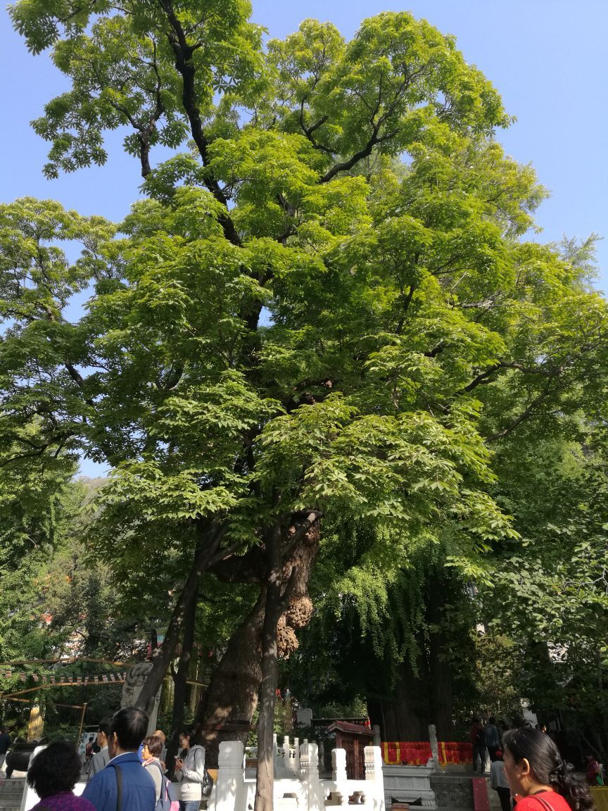 潭柘寺