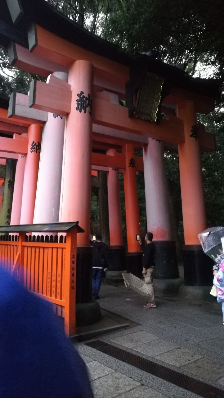 到千本鸟居已经夜色阑珊了,这里是《艺伎回忆录》的取景地,数量众多的