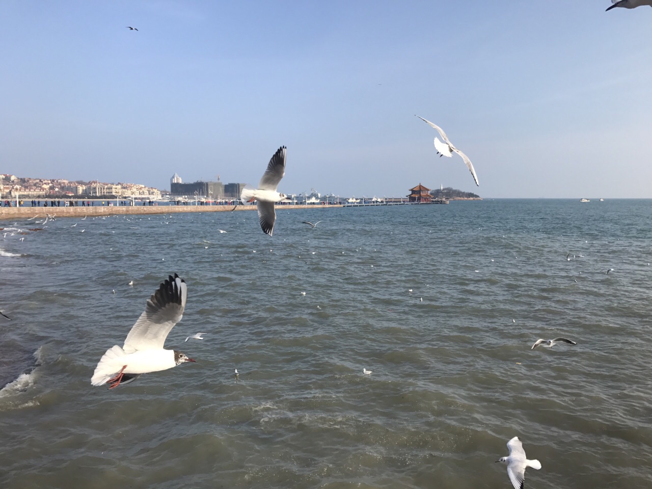 栈桥海水浴场