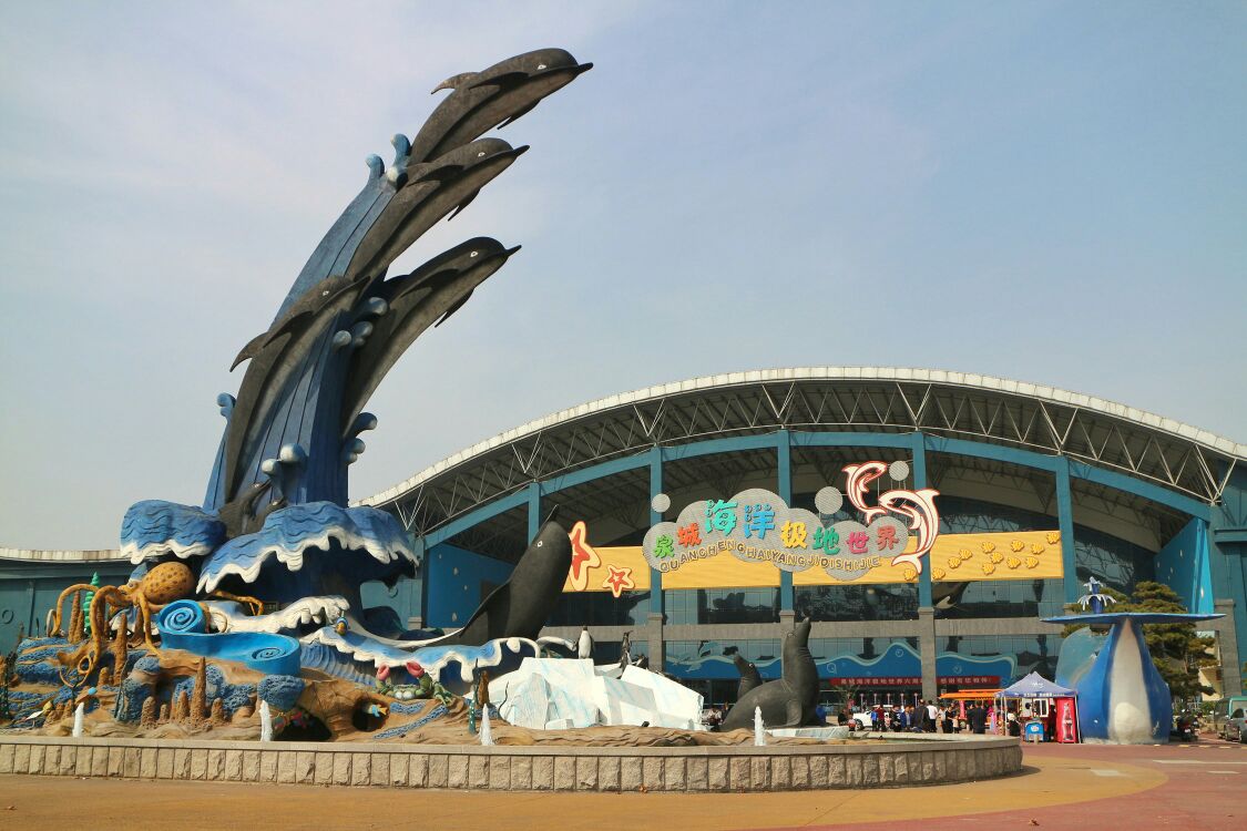 海底之中各种奇妙的海洋生物仿佛触手可及美丽的海底世界尽收眼底真的