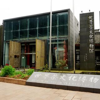 世界茶文化博物馆 博物馆 展馆展览 距景点1.6km