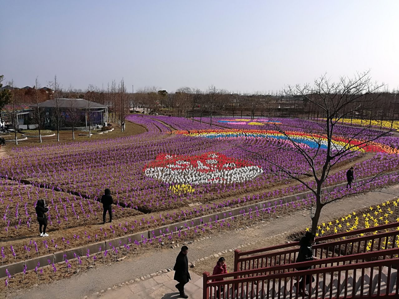 绍兴杭州湾海上花田好玩吗,绍兴杭州湾海上花田景点怎么样_点评_评价