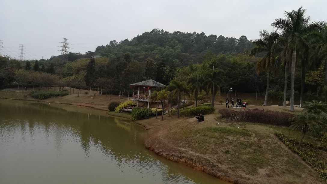 七星岗公园以地名七星岗命名位于番禺区南村镇辖地地处市桥至新造公路