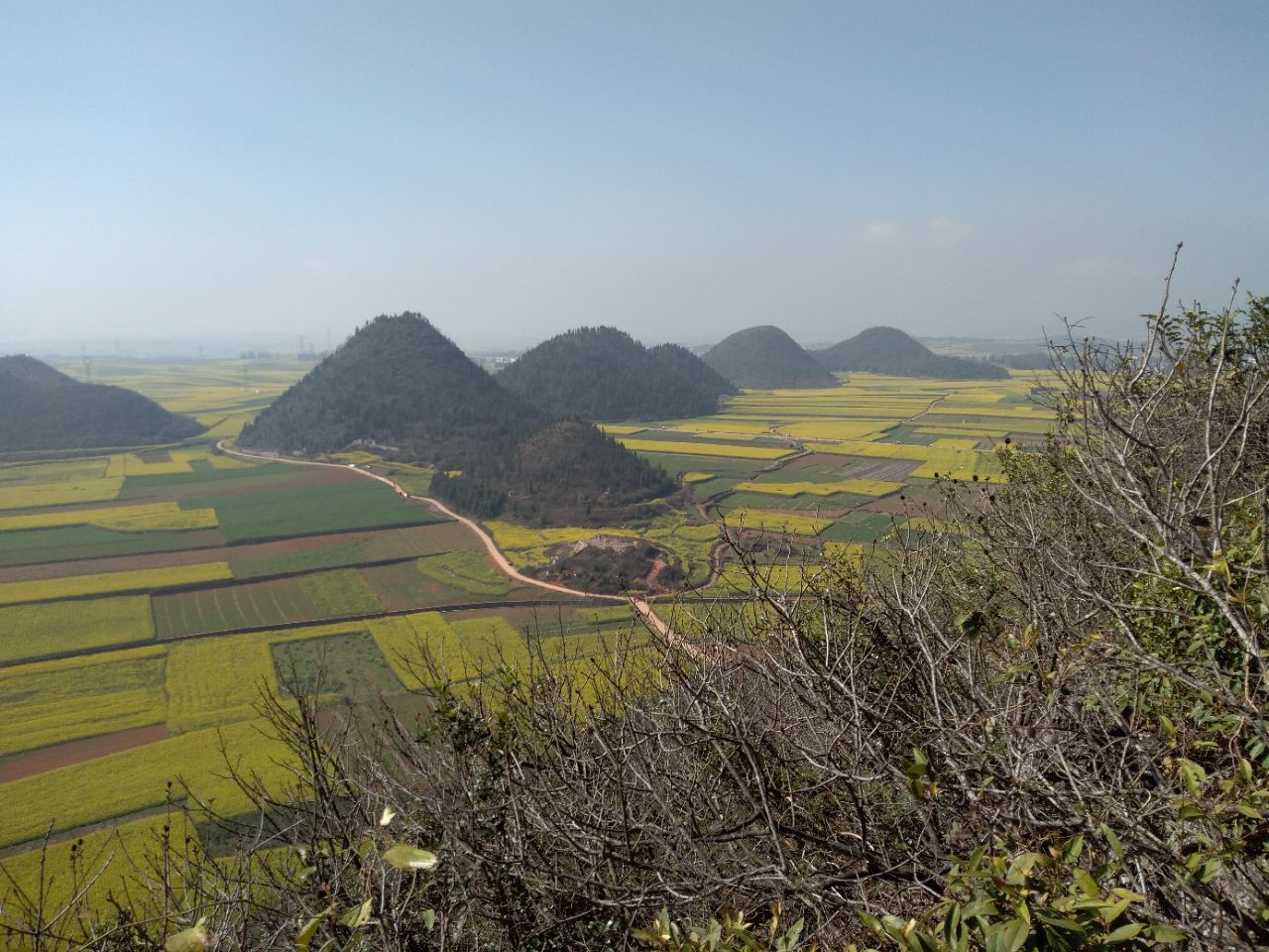 【攜程攻略】羅平金雞峰叢景點,金雞峰叢是羅平觀賞油菜花最佳地方