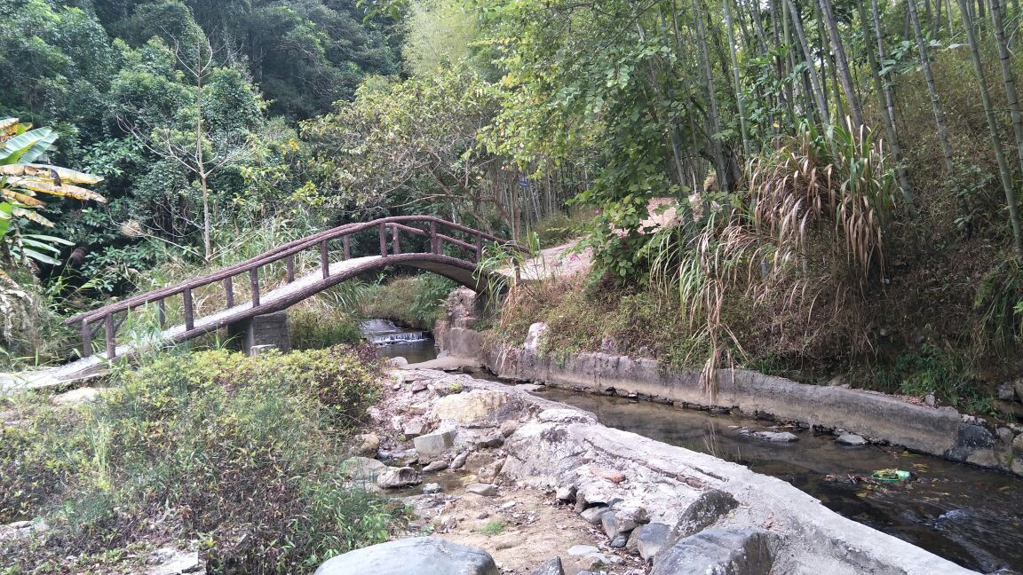 東源新豐江國家森林公園桂山風景區景點怎麼樣_點評_評價【攜程攻略】