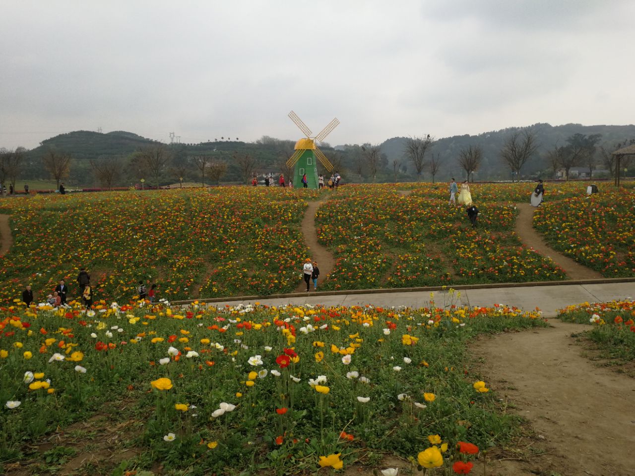 2018花舞人间_旅游攻略_门票_地址_游记点评,新津旅游景点推荐 - 去