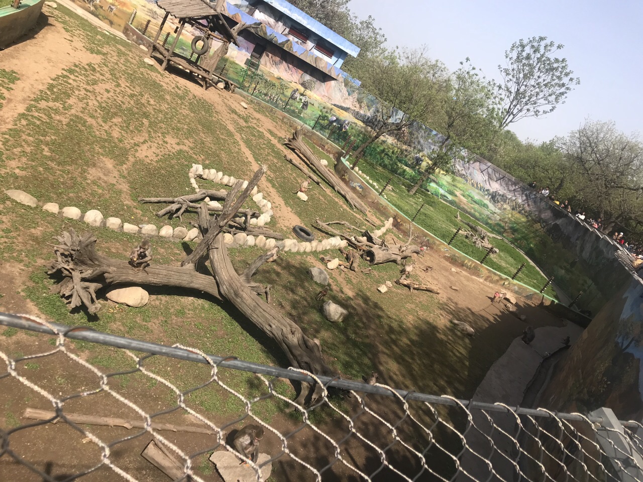 秦嶺野生動物園