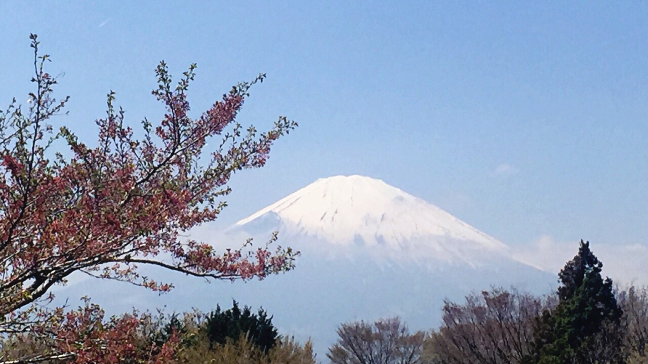 富士山