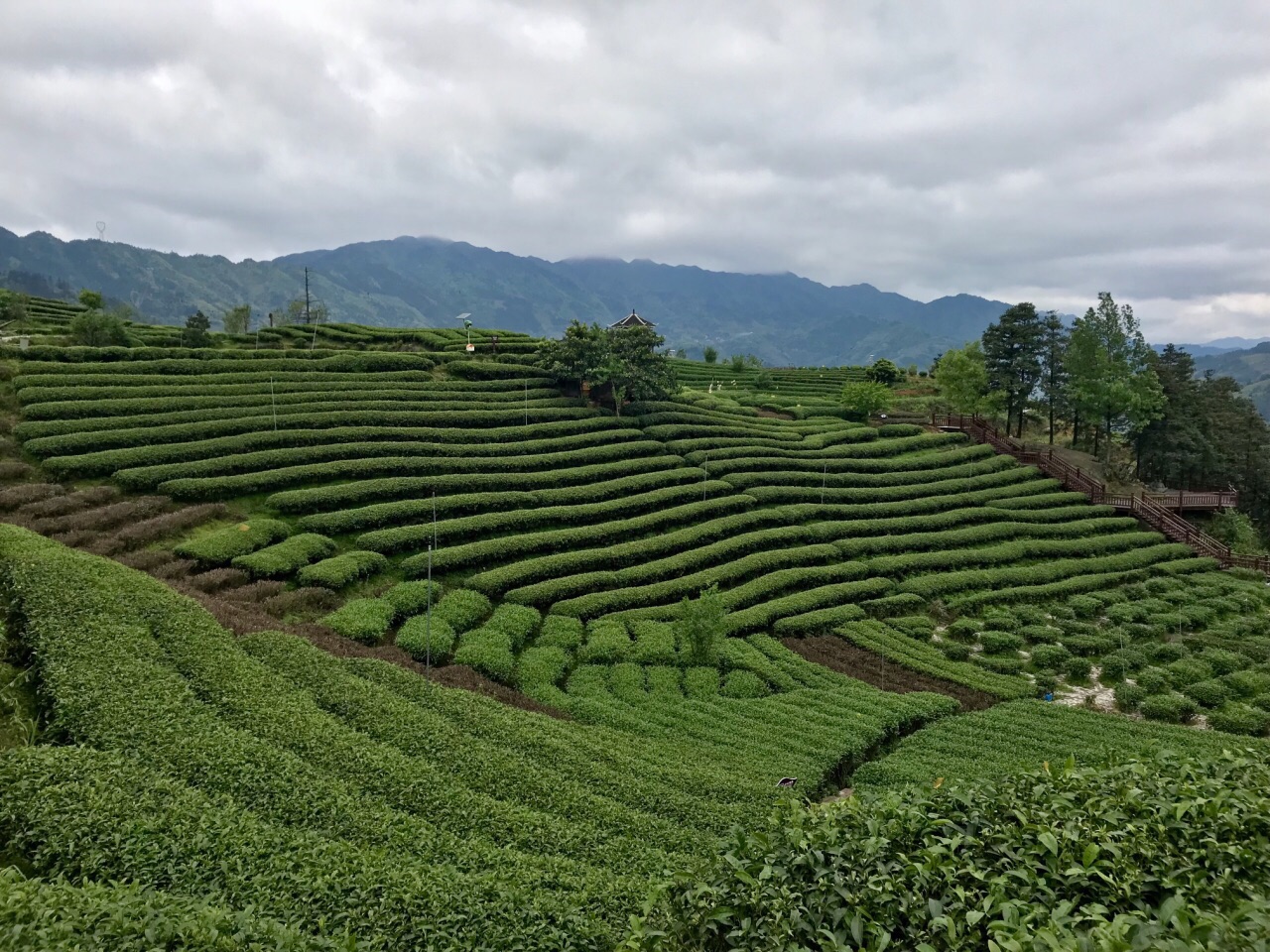 三江仙人山景区好玩吗,三江仙人山景区景点怎么样_点