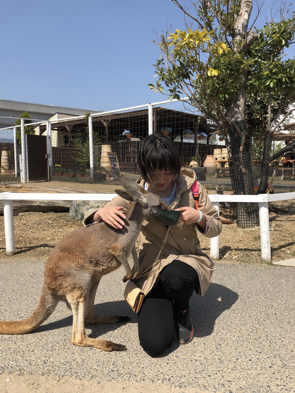 神户动物王国kobe animal kingdom