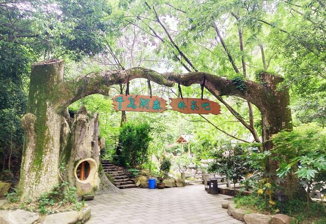 千岛湖森林氧吧