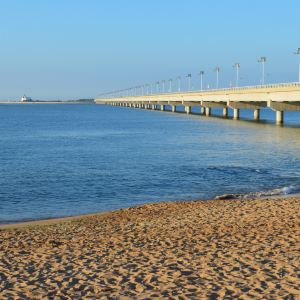 海阳万米金沙滩图片