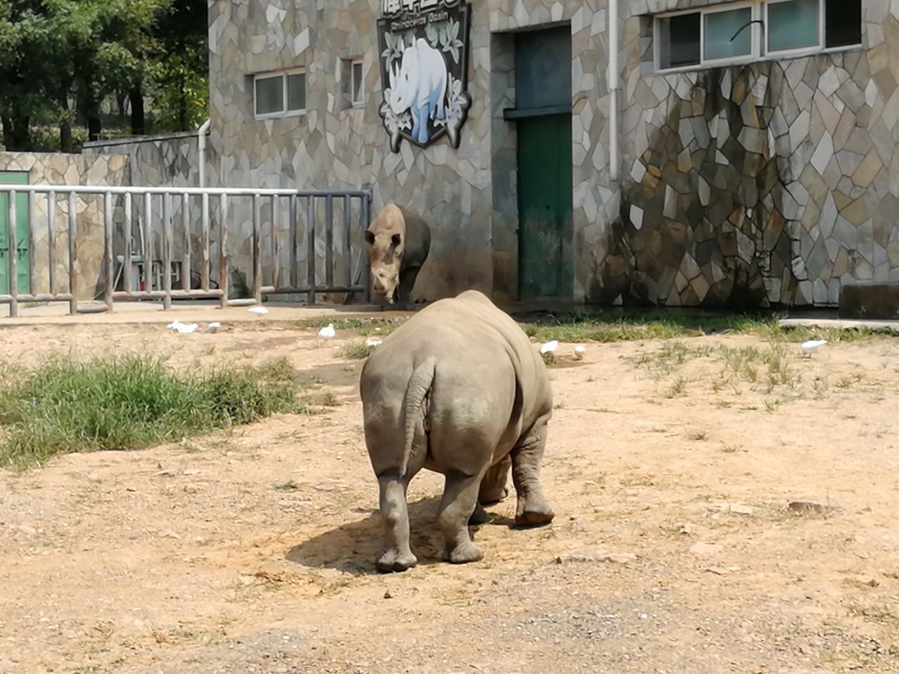 無錫動物園(太湖歡樂園)