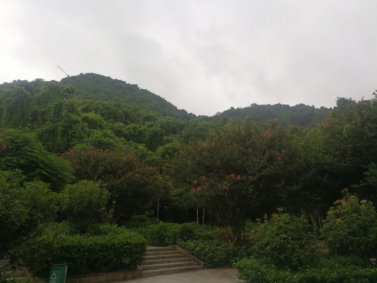 文化随行-生态城景观档案| 澜清溪公园