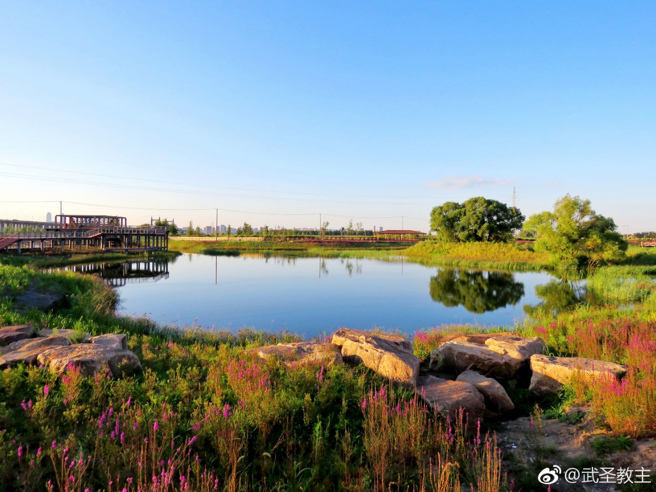 长荡湖湿地公园：有氧运动的天堂_江苏国际在线