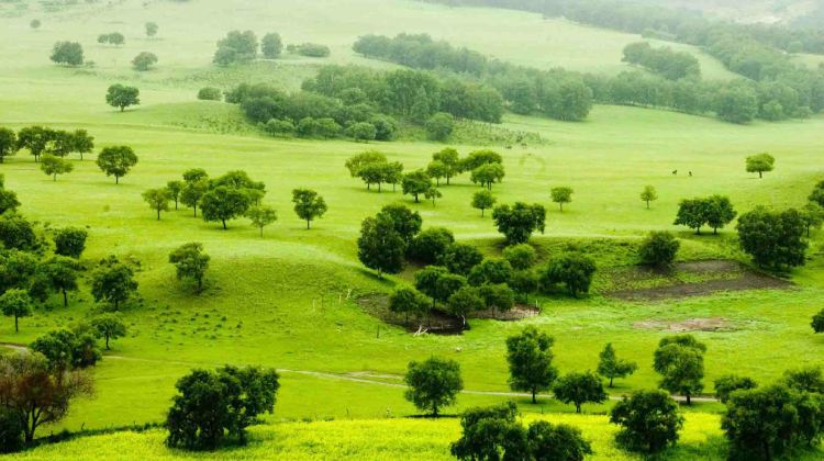 齐齐哈尔扎龙龙湖生态旅游度假村攻略-扎龙龙湖生态旅游度假村门票价