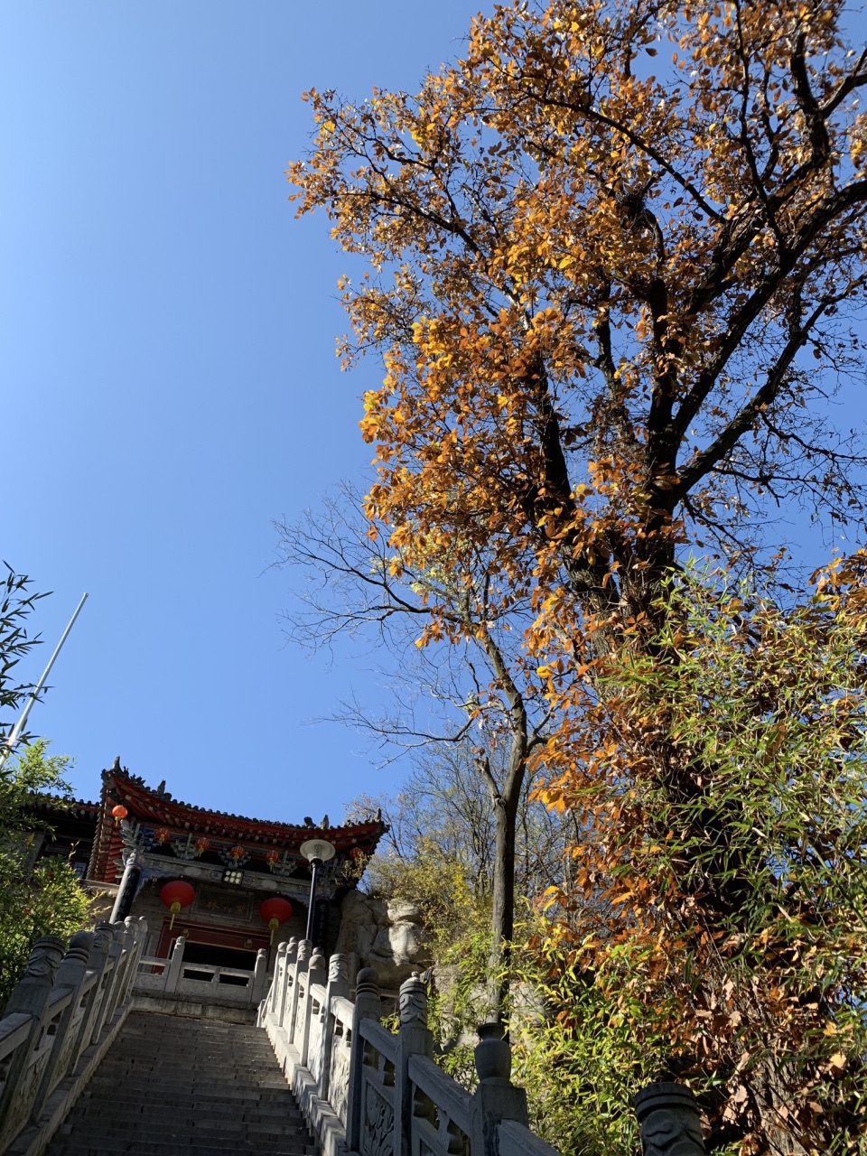 南五台森林公园