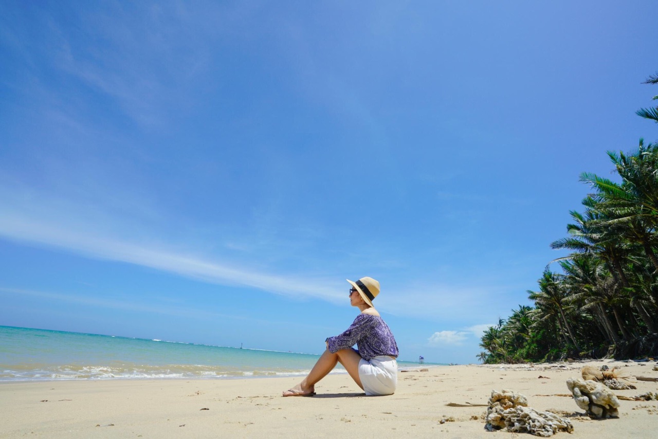 1-Day Wenchang Tour: Space exploration and Confucian culture, coconut grove scenery