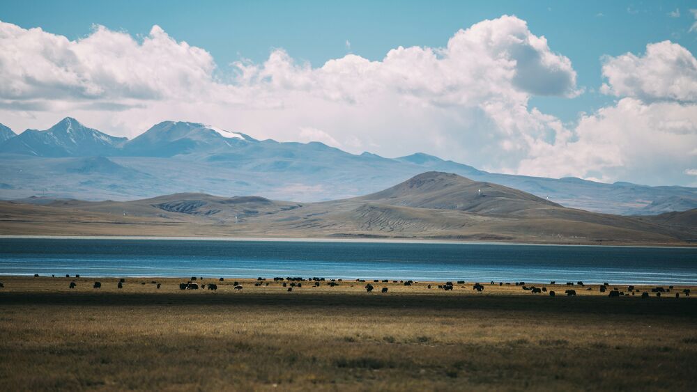 哲古草原算是山南小众景点之一,草原在措美县县城东北部50公里,隔开