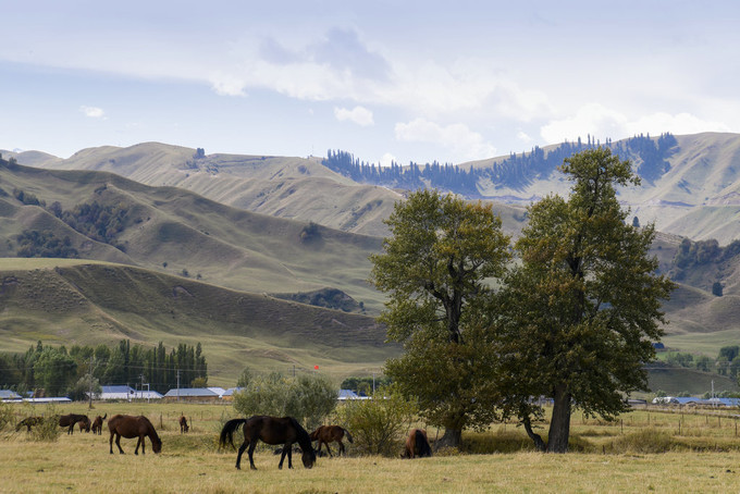 那拉提草原 伊犁游记攻略 携程攻略