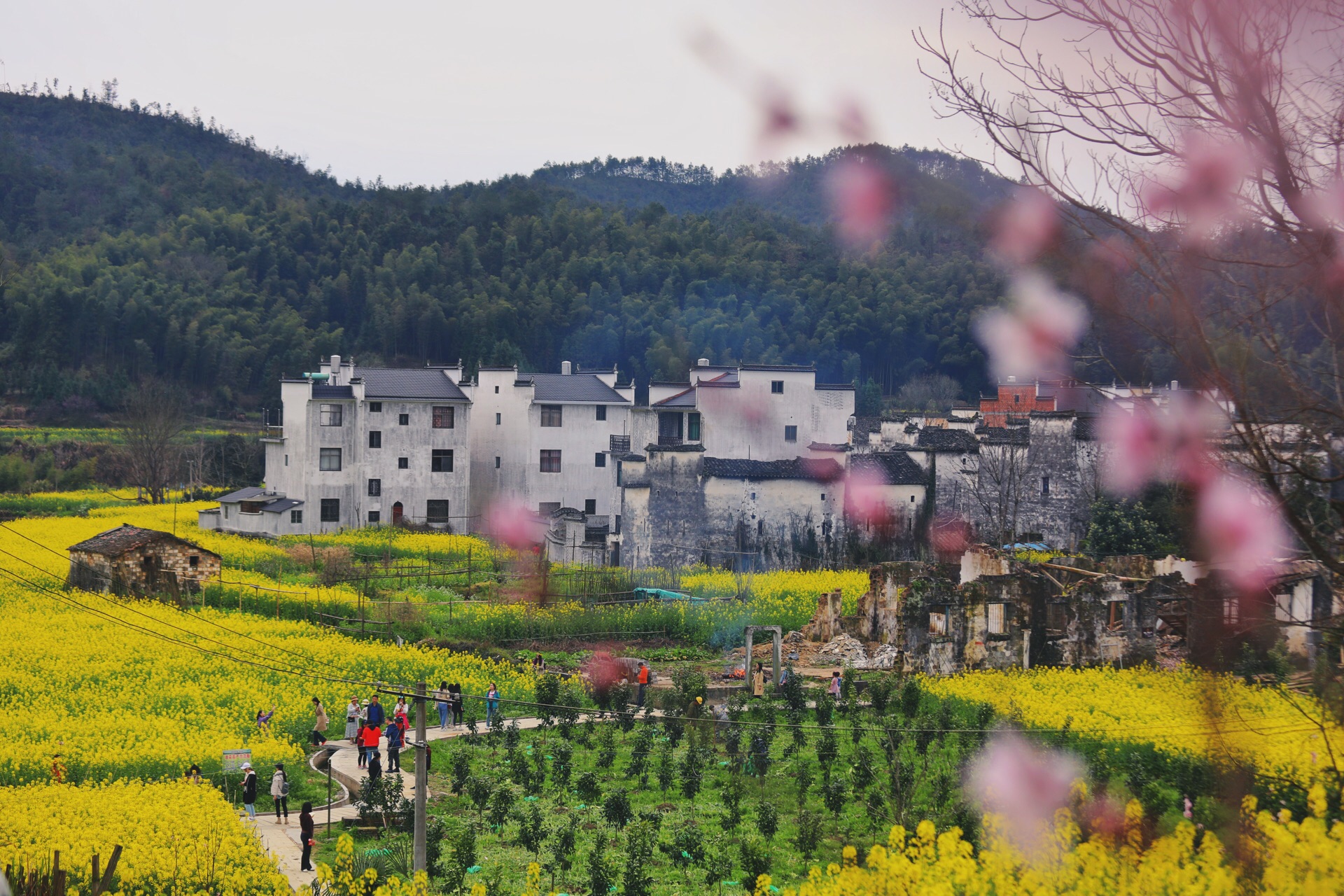 2019思溪延村 旅游攻略 门票 地址 游记点评 婺源旅游景点推荐 去哪儿攻略社区