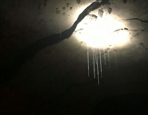 萤火虫Firefly价格 100w12000000sz2sg2096_C_480_375.jpg