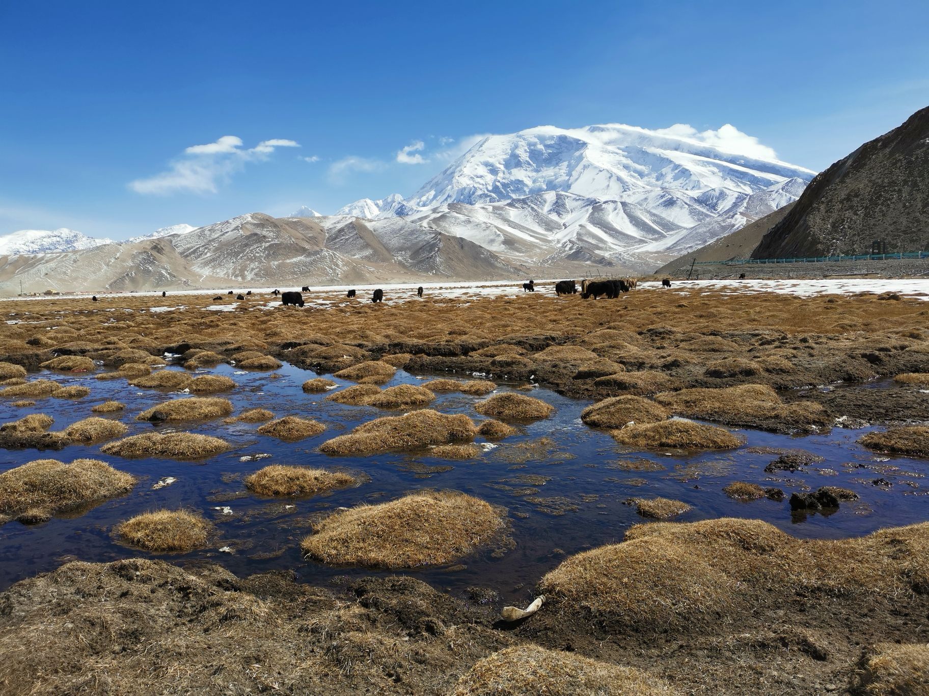 2022慕士塔格冰川公园游玩攻略,...的幕士塔格山峰是，是喀什...【去哪儿攻略】